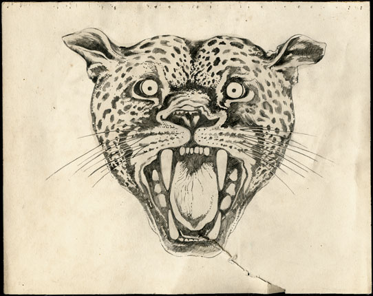 Leopard Head Drawing