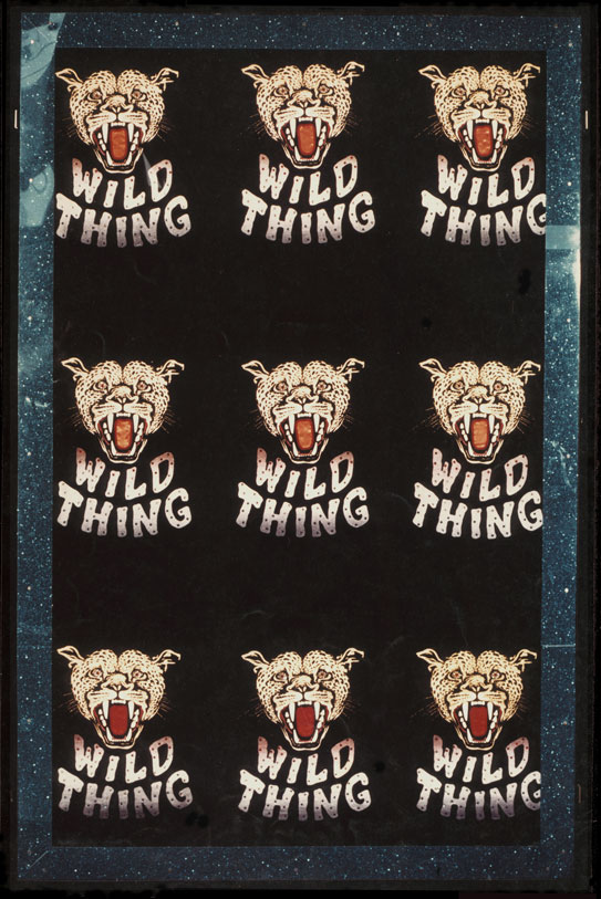 WILD THING - 1971 'The Fabric of Pop' Exhibition